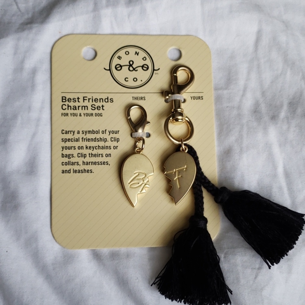 BNWT Pet Owners Keychain/Collar Set